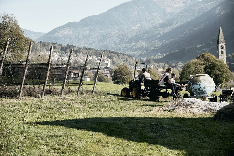 Maso Loera Vista Paese Val Rendena Pelugo