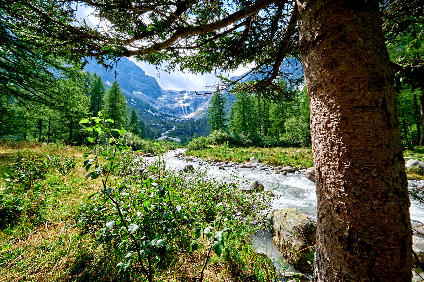 Parco Fluviale Della Sarca