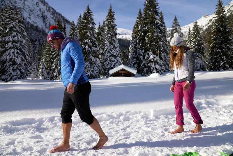 Elementei DNW Winter4
