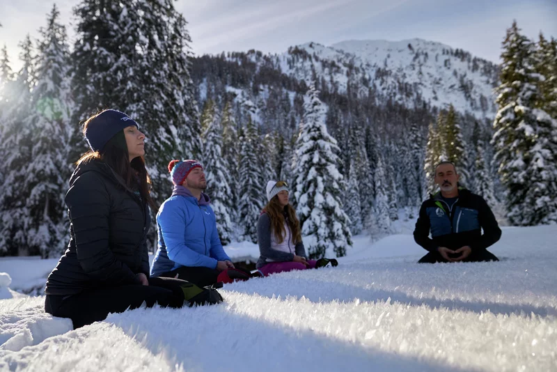 Elementei DNW Winter3