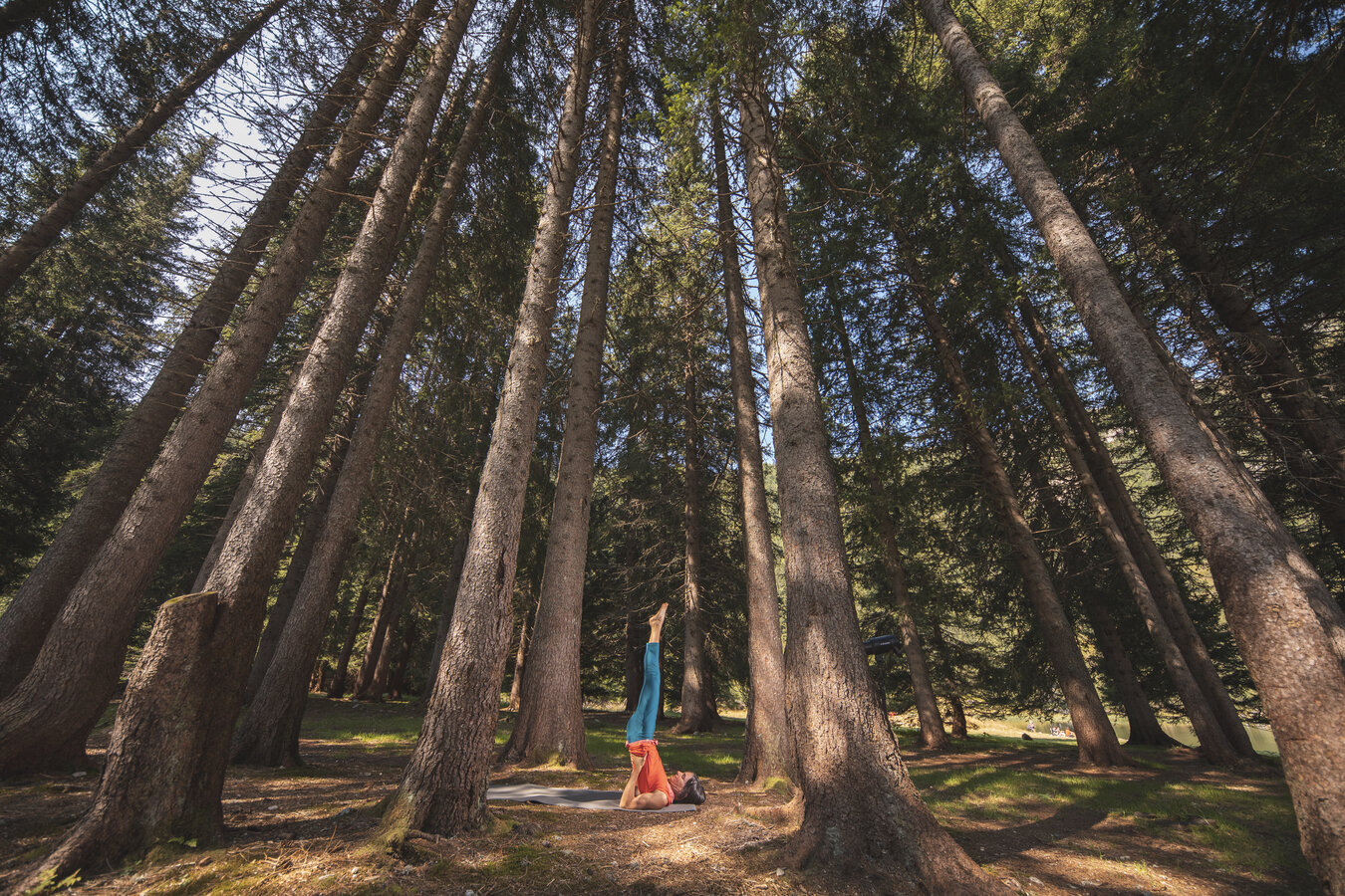 Dolomiti Natural Wellness