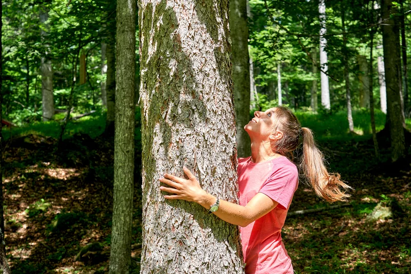 Bosco Abbraccio2