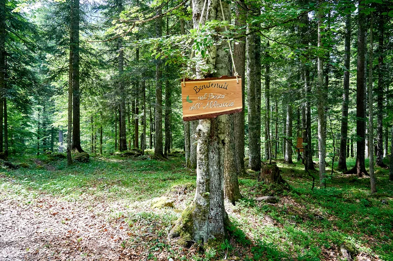 Bosco Abbraccio