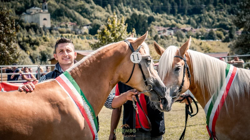 Rassegna 281