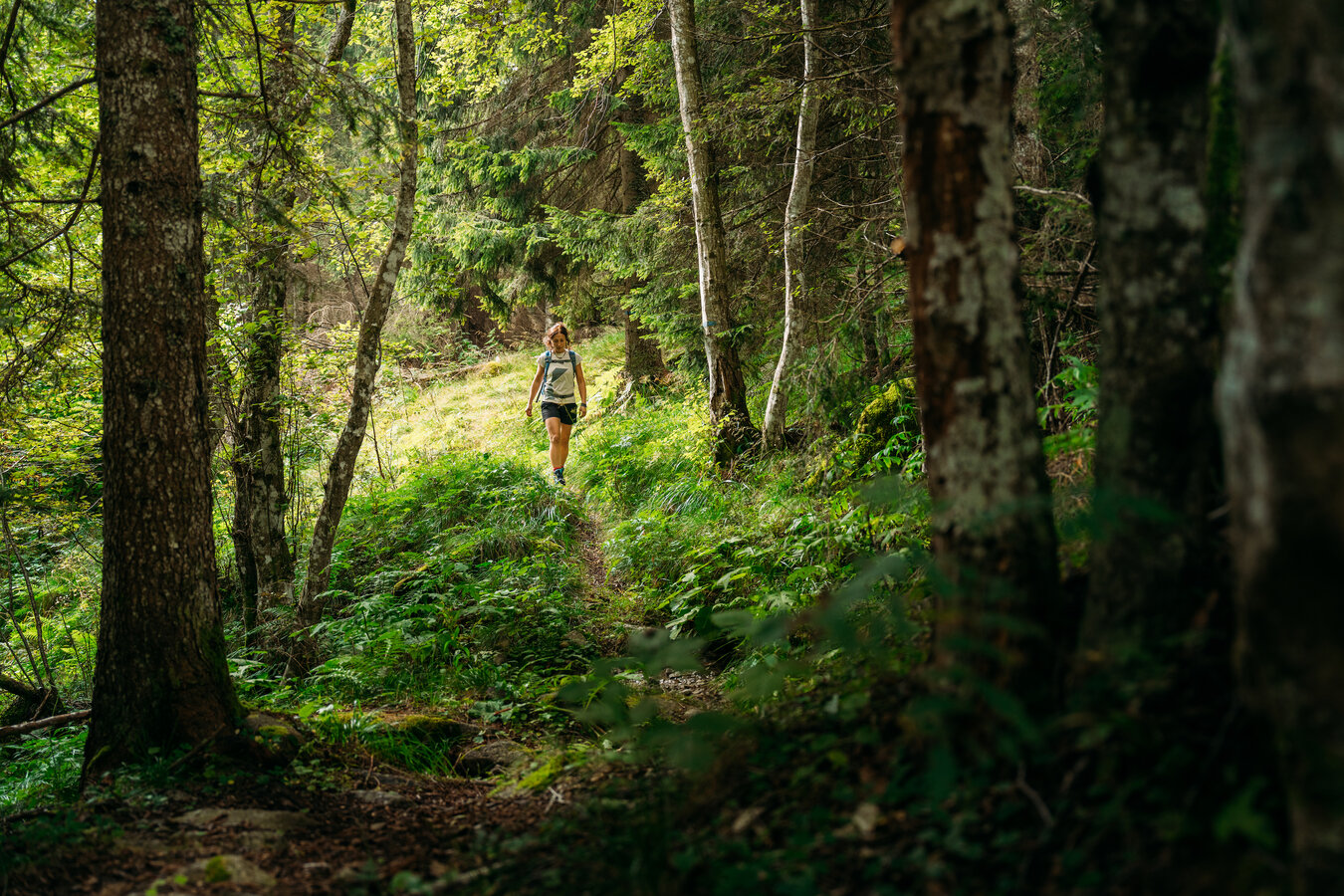 LA NATURA DELLA SCOPERTA Val Nardis La Via Delle Valli