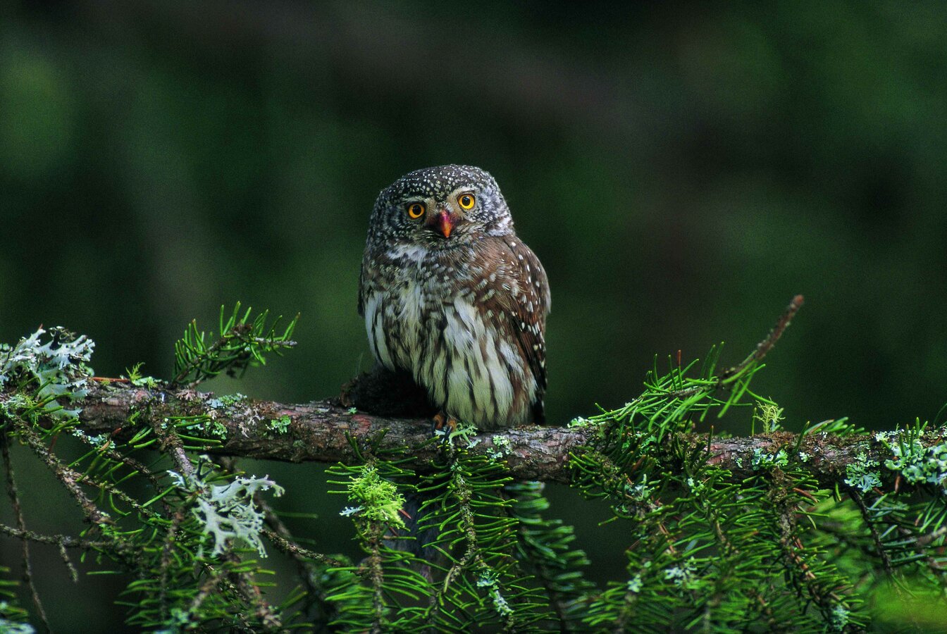 In Equilibrio Con La Natura