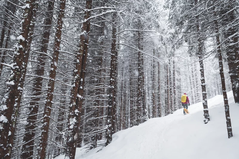 Campiglio SimoneRomina 150