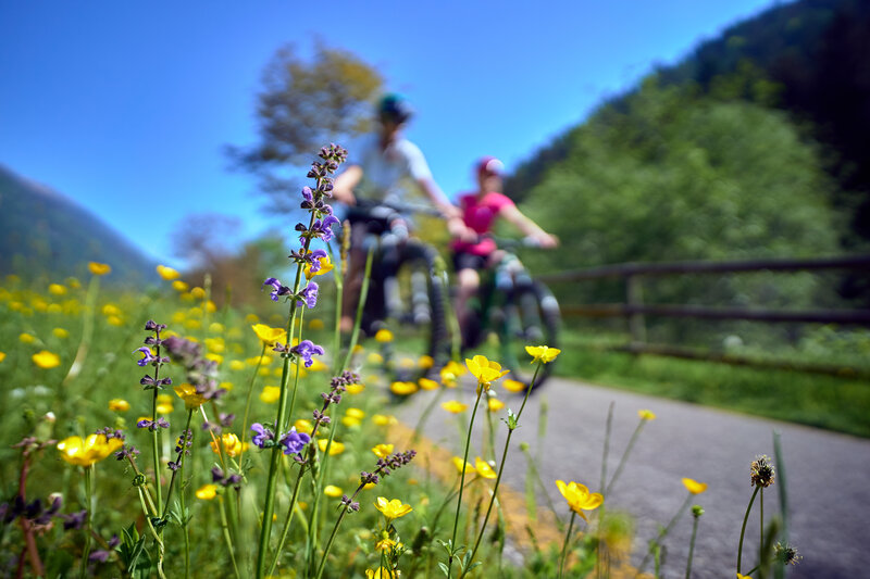 La Ciclovia Dei Fiori