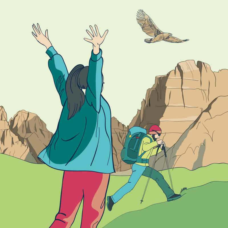 Free Outdoor Weeks