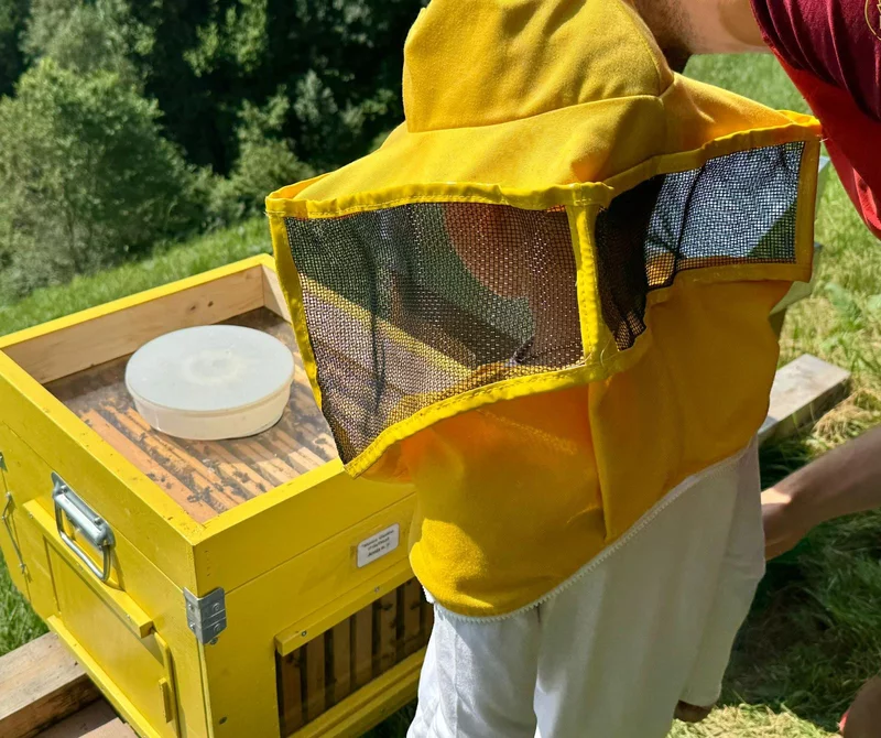 Natur, Bienen Und Aromen