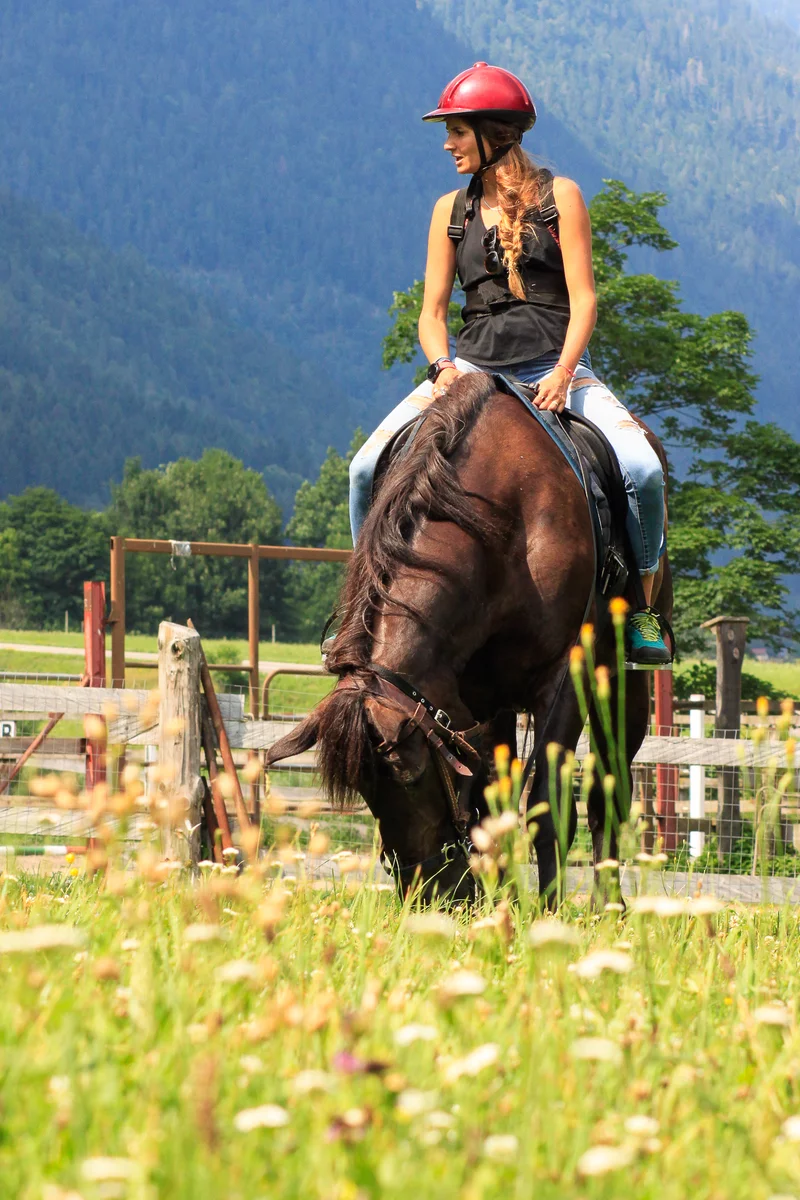Equitazione a 360°