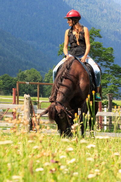 Equitazione a 360°