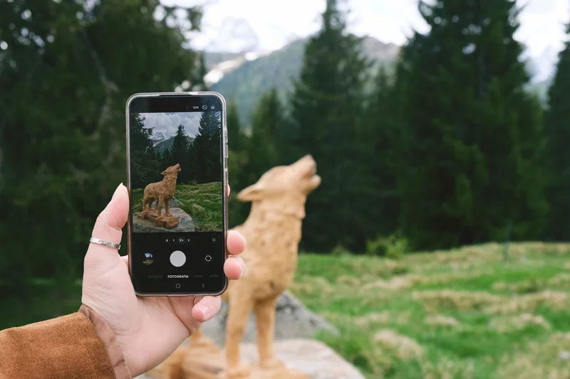 Tracce Misteriose: indovina l'Animale al Junior Park