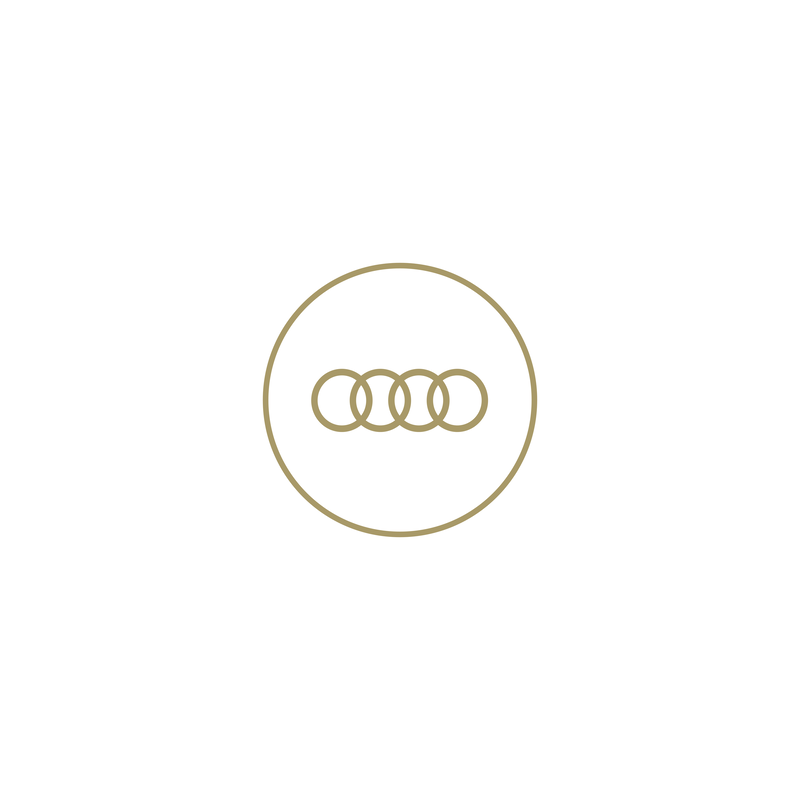 Audi Driving Experience A Madonna Di Campiglio 