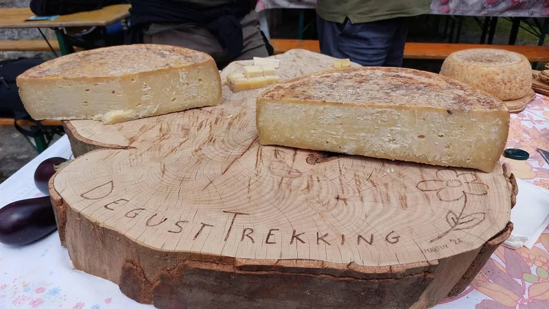 Degusttrekking