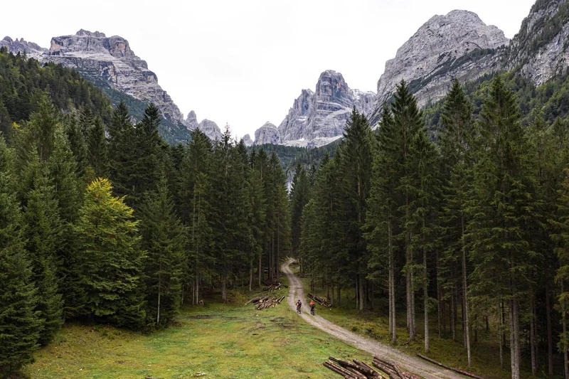 Malga Brenta Bassa