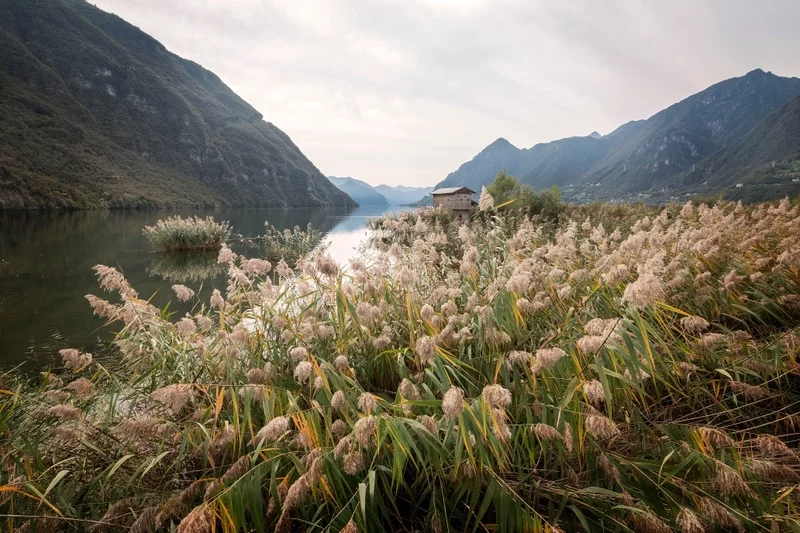 Biotopo al lago d'Idro, scrigno di biodiversità Biotopo al lago d'Idro, scrigno di biodiversità