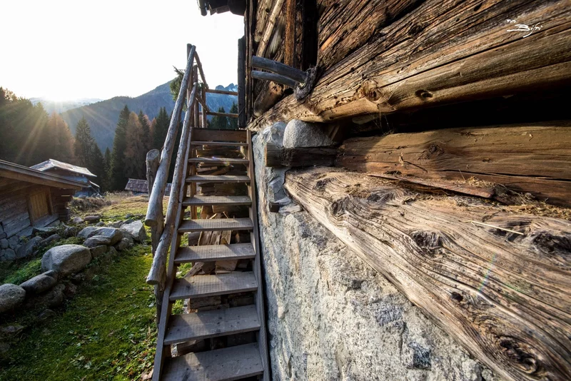 Da Madonna di Campiglio ai Masi di Clemp, forti della guerra