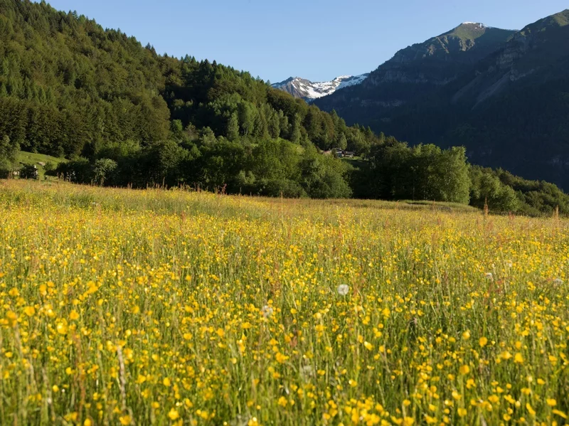 Tour Zum Belvedere Malga Baite Boniprati