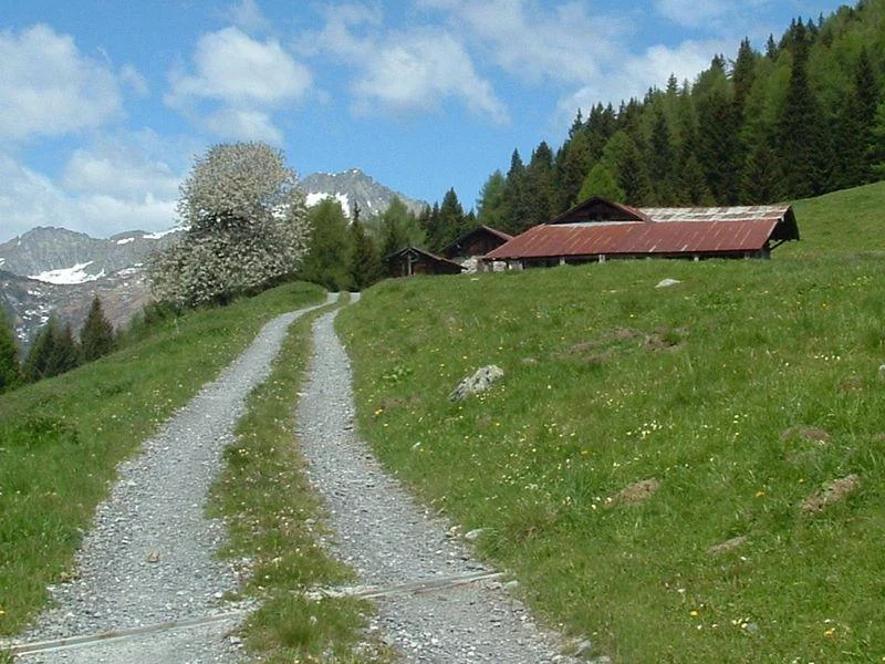 Malga Staboletto