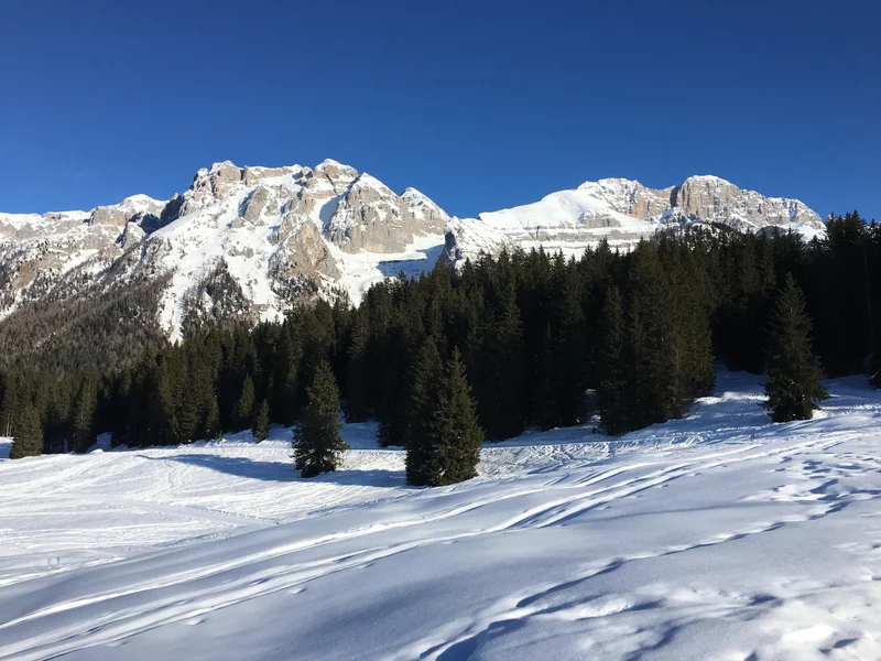 Percorso N