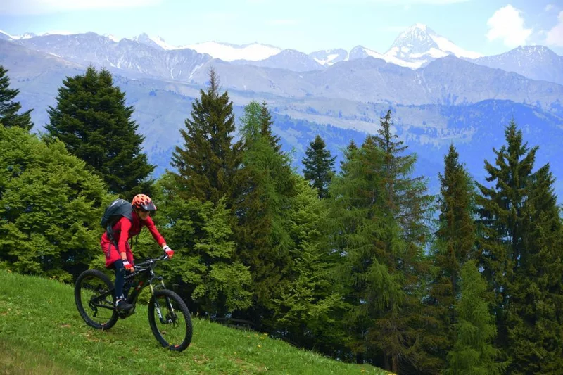 Ringia Supertrail   1107