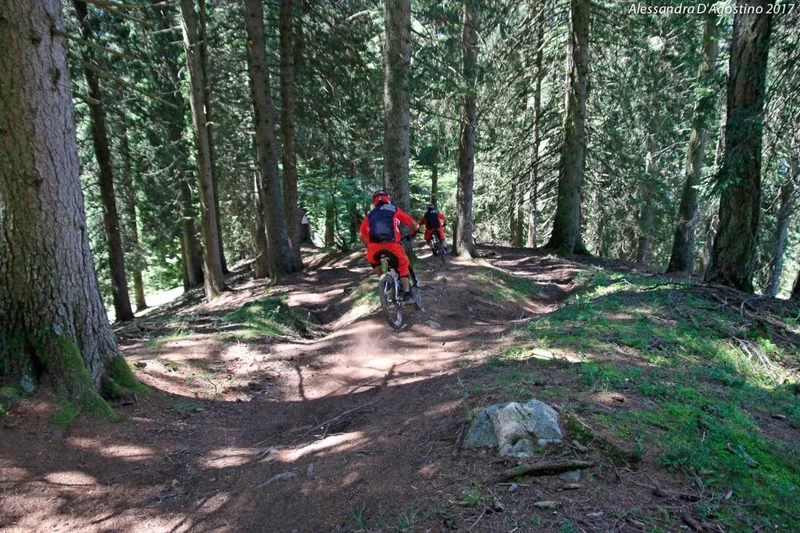 Sfulmini   Brenta Bike Park