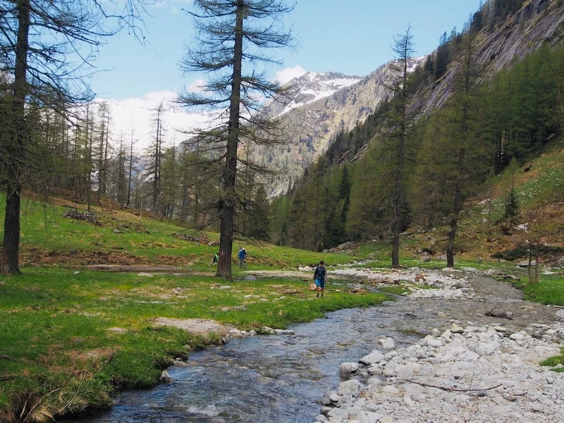 Val Danerba, Das Wunder Eines Wilden Tals