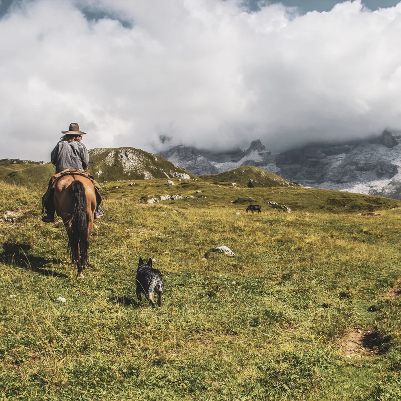 Maneggio Horse Trekking Dolomiti & Alto Garda