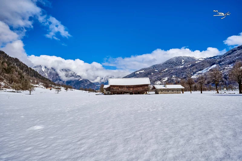 Maso Curio "Ca Da Mont"