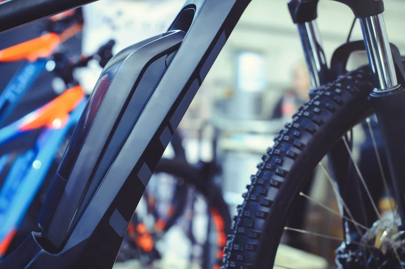 Zebra E Bike Rent & Shop