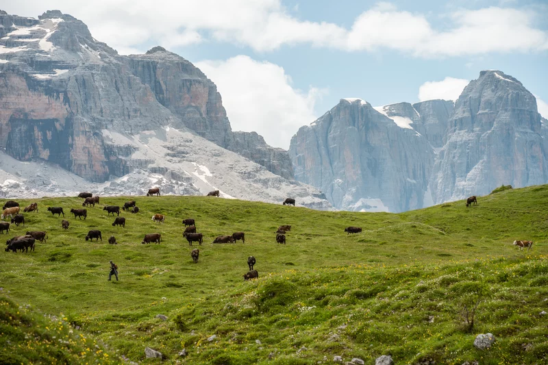 ©Trentino Marketing Manuel Righi Accessibilita Brenta Open 2024 00020