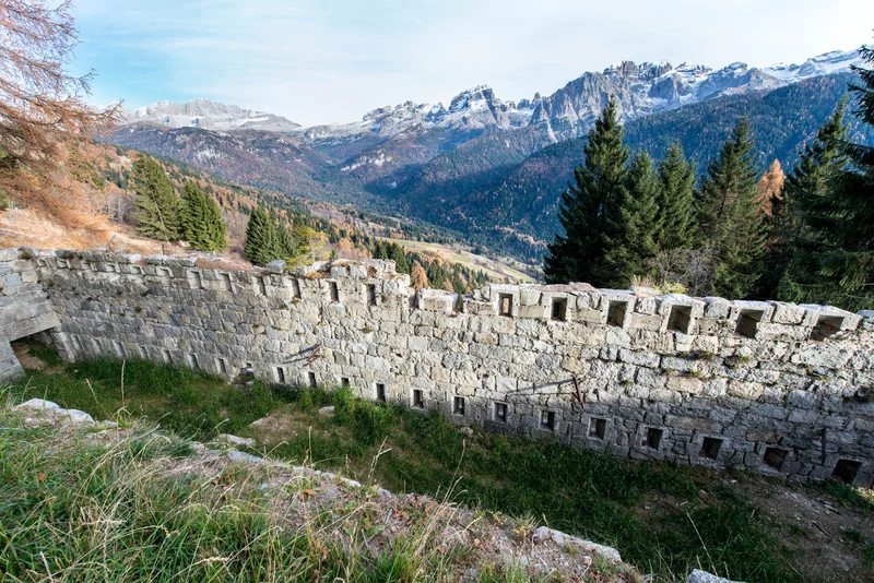 Forte Clemp DSC 2976