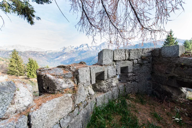 Forte Clemp DSC 3050