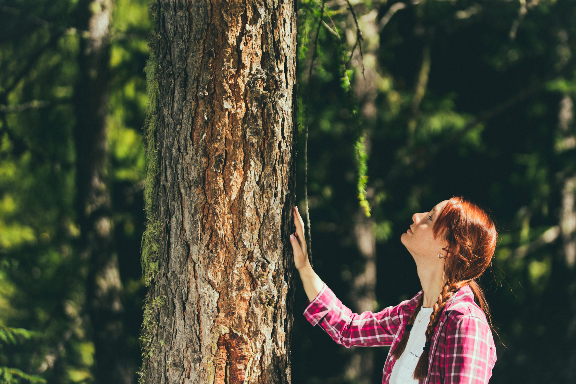 Ragazza pratica forest bathing | © Federico Modica - Archivio Immagini ApT Val di Fassa
