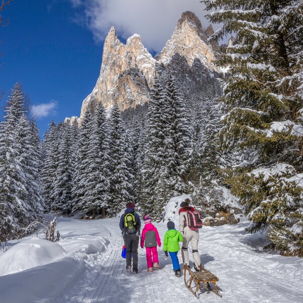 Slittino in Val di Fassa | © Patricia Ramirez  - Archivio Immagini ApT Val di Fassa