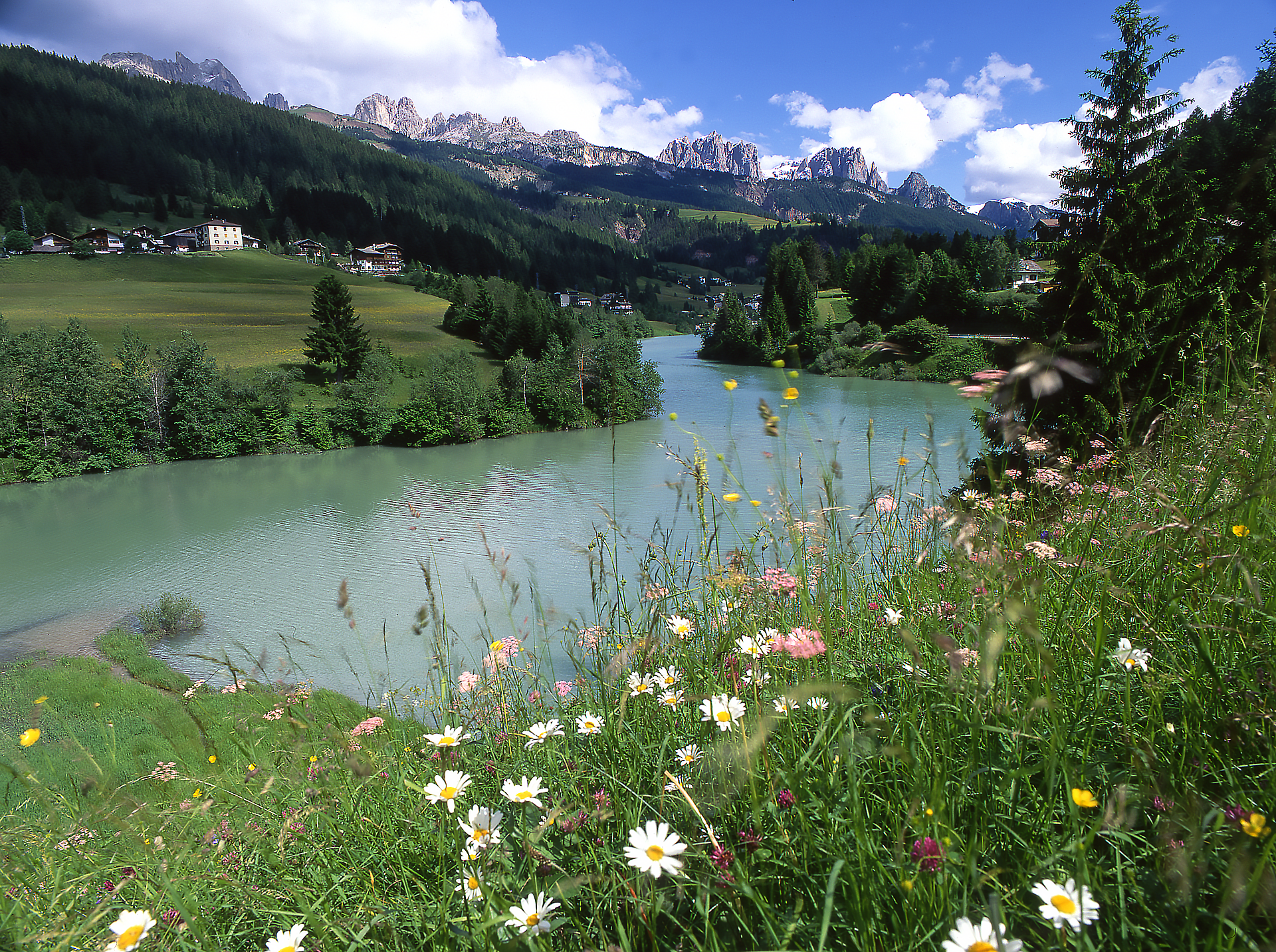 Il lago di Soraga visto dall'alto, con in primo piano dei fiori colorati | © Cavulli - Archivio Immagini ApT Val di Fassa