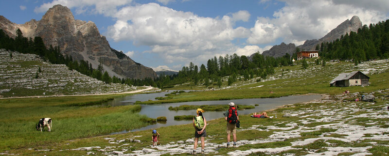 ALTA VIA N 1.