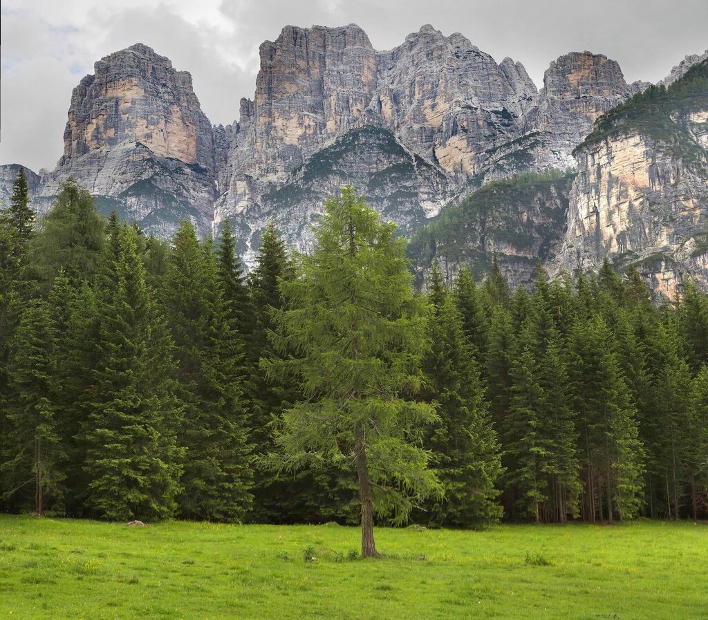 Forin Tommaso Spiz Val Pramper Esatte | © Forin Tommaso