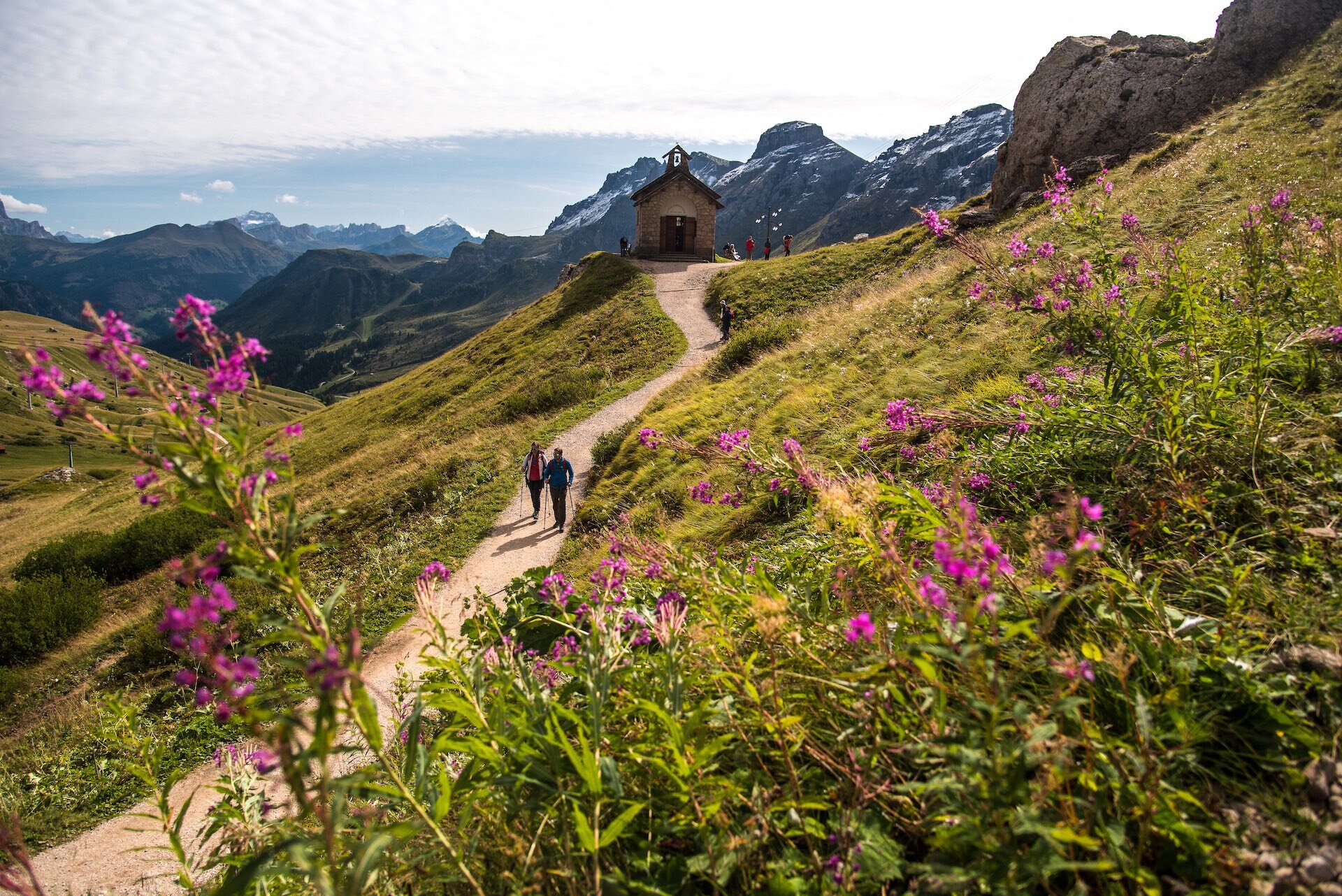 Pordoi Dolomiti LUC 7550