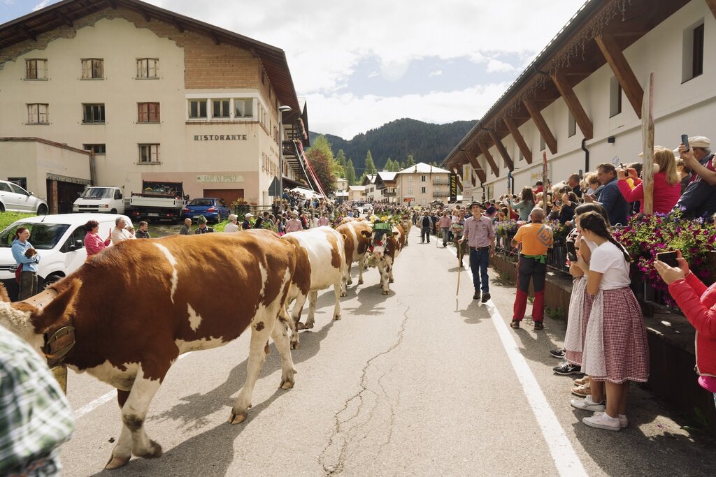 Tradizioni Desmontegada Selva Di Cadore