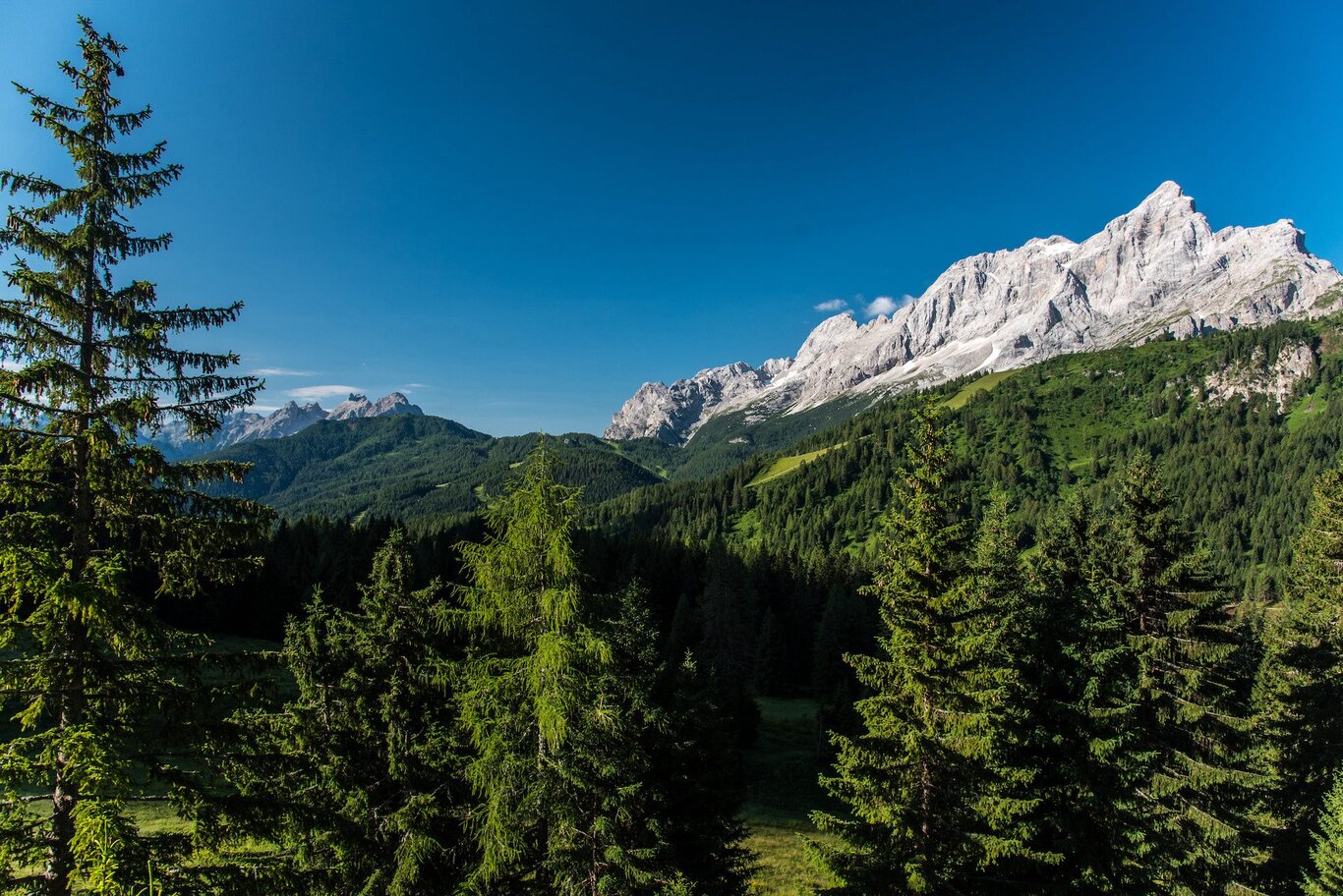 Civetta Bike Tour | © LUC - Archivio Dmo Dolomiti Bellunesi