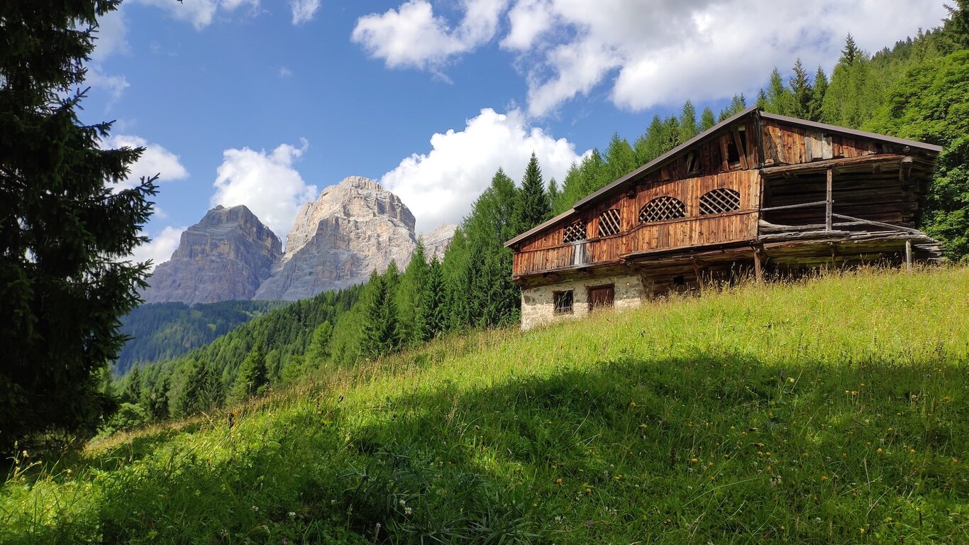 Besichtigung des Mas | © Archivio Dmo Dolomiti Bellunesi