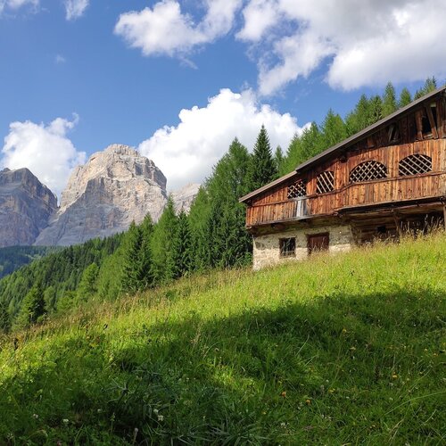 Besichtigung des Mas | © Archivio Dmo Dolomiti Bellunesi