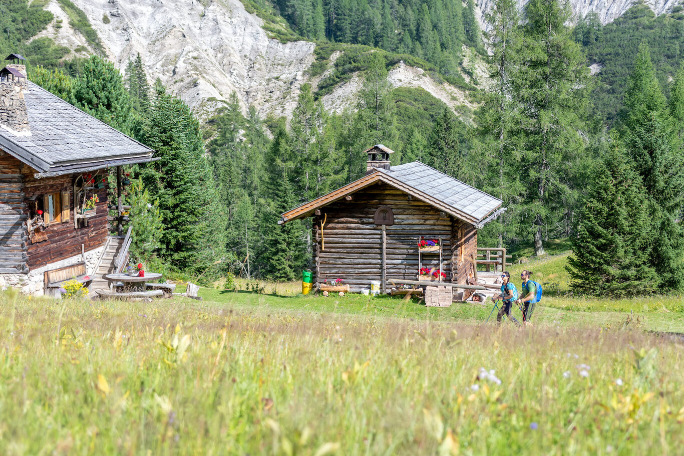 Wooden chalets of Valfredda