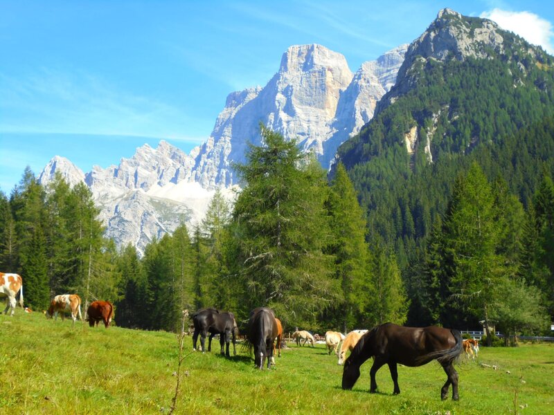 From Pescul to the Aquileia mountain shelter