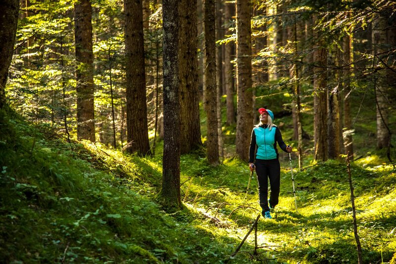 foresta Somadida Foresta Somadida Auronzo Cadore LUC 8060