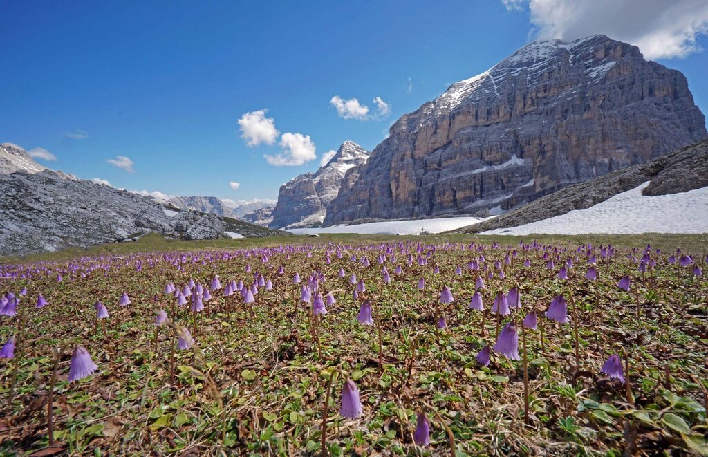 Primavera Sotto La Tofana Di R ¦zes