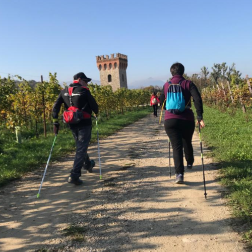 Corso Base Di Nordic Walking