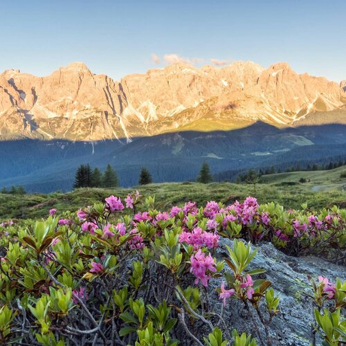 Trekking Il Cammino Dell' Alba In Val Comelico